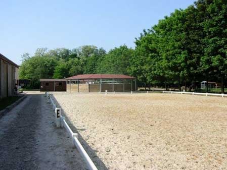 Les Ecuries des H - Ecuries et Pensions pour Chevaux à Fontainebleau 3